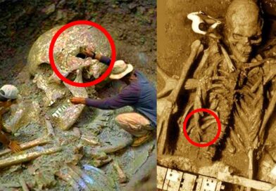 The Discovery of 5 Skeletons that make us Tremble